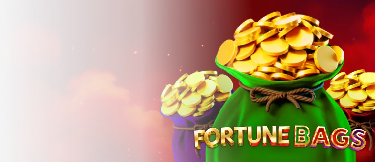 Fortune Bags Promo
